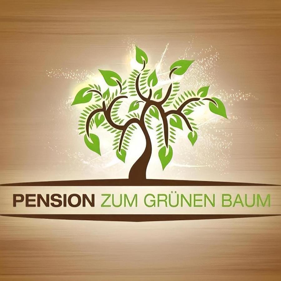 Europa Pension Zum Grunen Baum Rust Esterno foto